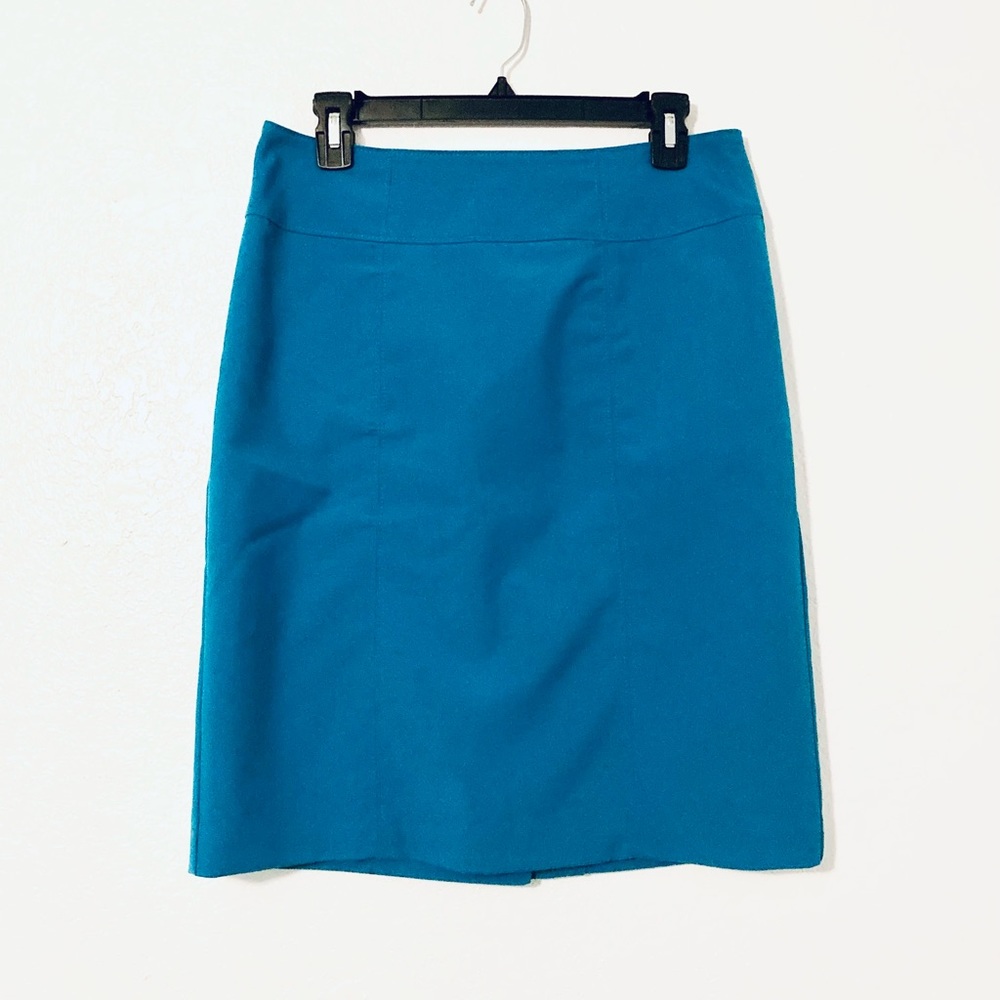 Worthington Pencil Skirt (Blue)